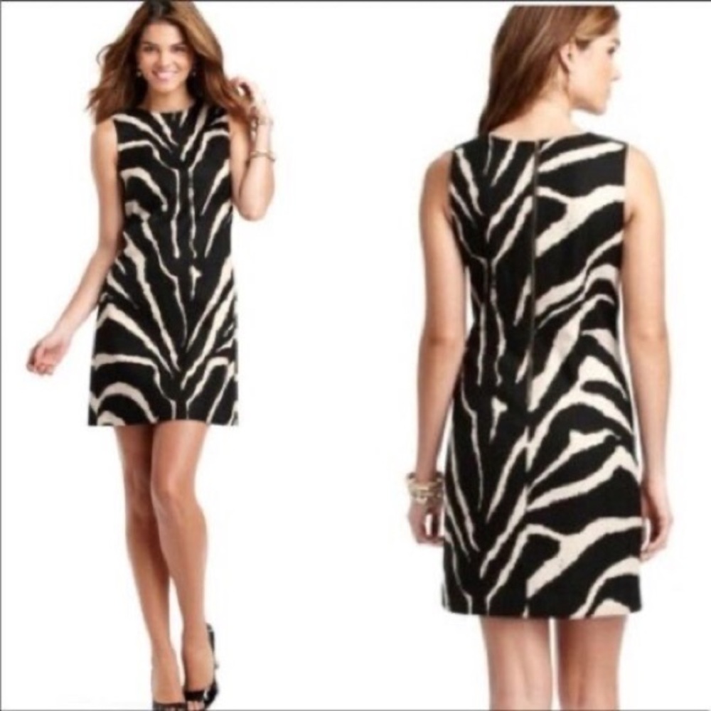 Loft Textured Zebra shift dress